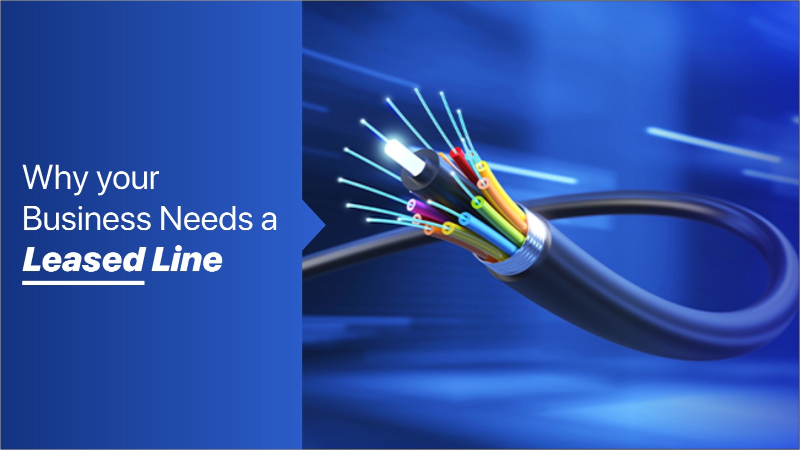 Why Your Business Needs a Leased Line