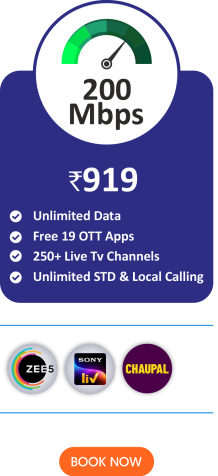 PLAN TAB - 919