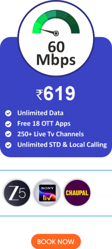Silver Plan - 619