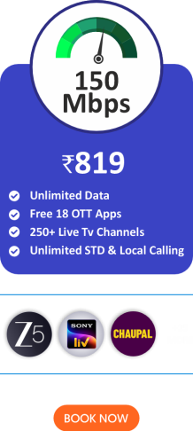 Silver Plan - 819