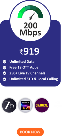 Silver Plan - 919